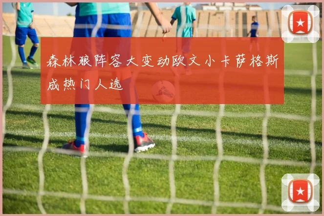 森林狼阵容大变动欧文小卡萨格斯成热门人选